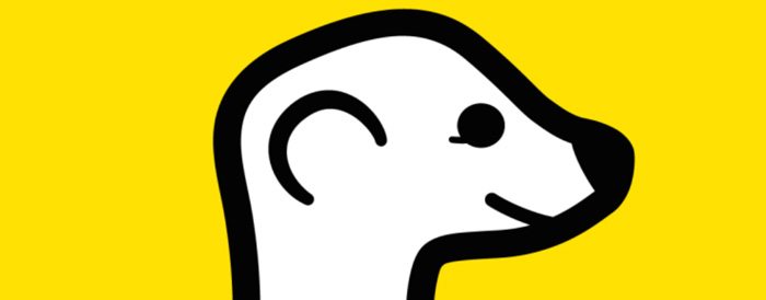 The Meerkat App: Opportunities and Lessons Learned